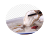 Canned Shellfish